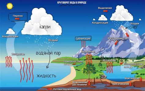 Влияние человека на мировой круговорот воды