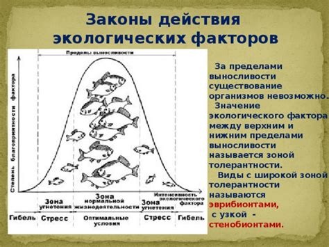 Влияние экологического фактора на качество пищи