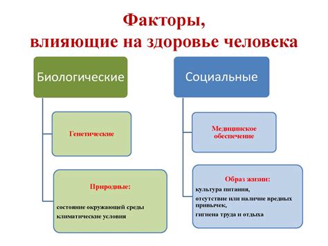 Влияющие факторы на значение сновидений