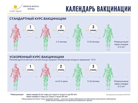 Влияющие факторы на определение времени проведения прививки