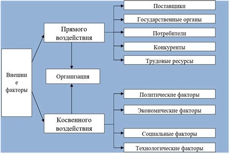 Внешние факторы и их влияние