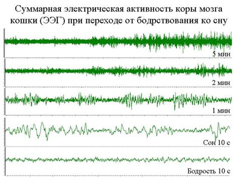 Внутренние торговые навыки близкий к вам человека во время сна: что это означает?