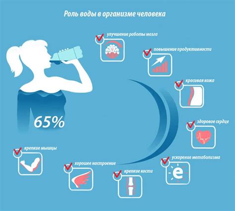 Вода: правила распределения для достижения 2 литров