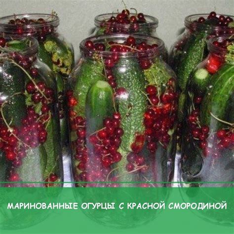 Вода в банке с огурцами: влияние на вкус и хранение огурцов