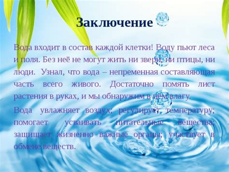 Вода и воздух - важные составляющие