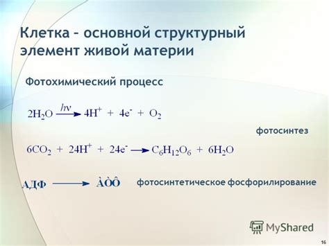 Вода - основной элемент живой материи