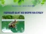 Возвращение на сушу: отрыв от моря