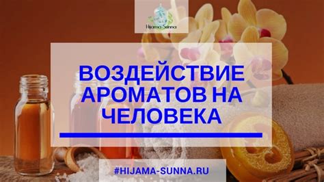 Воздействие звуков и ароматов на сновидения о небесной лагуне и прозрачном водном мире