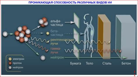 Воздействие ионизирующих излучений на организм человека