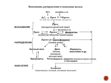 Воздействие на кроветворение