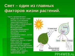 Воздействие света на горшок