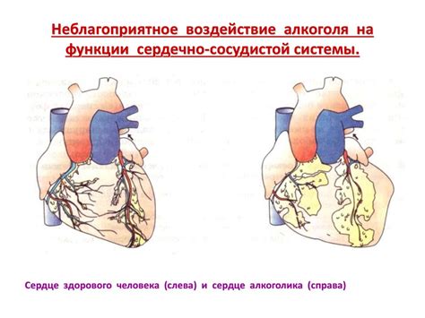 Воздействие смеси на сердце и сосуды