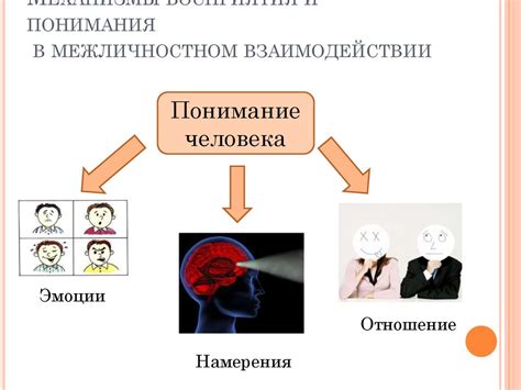 Воздействие смысловых поля на восприятие и понимание текстов