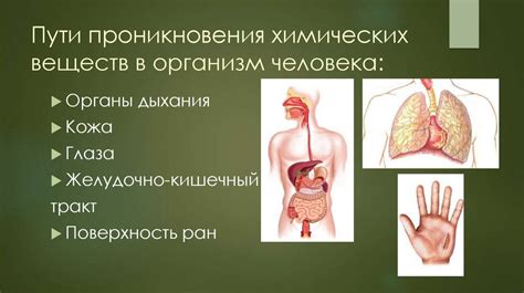 Воздействие химических веществ на организм