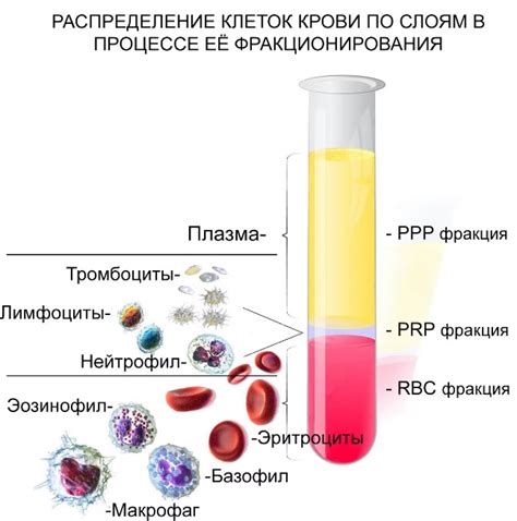 Возможное воздействие типа крови на содержание и тематику сновидений