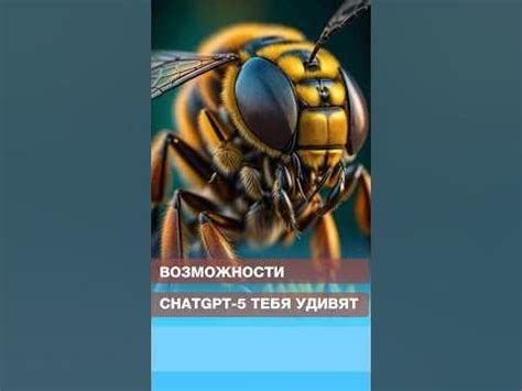 Возможности тебя удивят