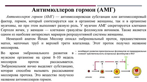 Возможные последствия при отсутствии лечения повышенного уровня ДЭА SO4