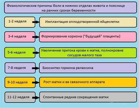 Возможные причины отсутствия роста живота на 12 неделе беременности