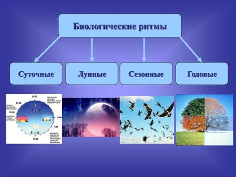 Возможные причины сновидения: физиология и психология