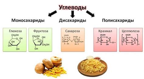 Возможные проблемы и польза от потребления моносахаридов, дисахаридов и полисахаридов