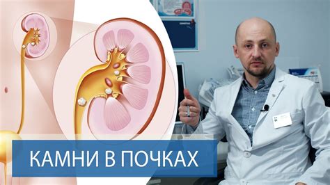 Возможные проявления диффузных изменений в почках