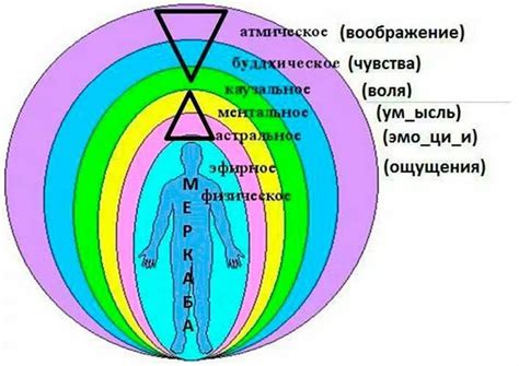 Волнующие эмоции и тонкая аура снов о приключениях на базаре