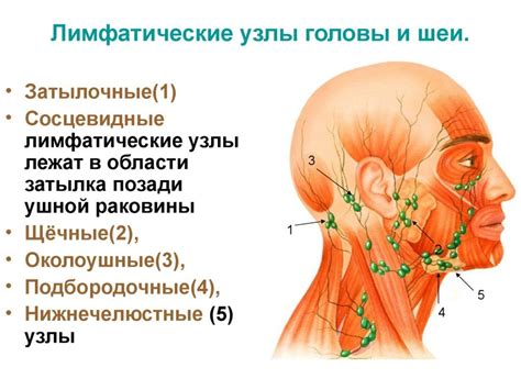 Воспаление лимфоузлов