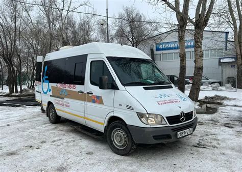 Воспользуйтесь услугами пансионата для собак