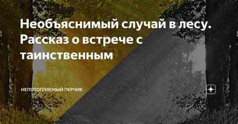 Воспоминания о встрече с таинственным карликом: невероятная встреча, которая изменила мое представление о реальности