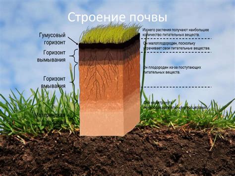 Вредность почвы и ее сохранность