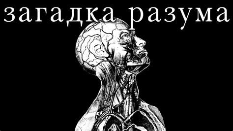 Встреча в сновидении: загадка тайного лабиринта разума