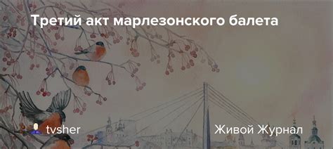 Второй акт марлезонского балета: значимость и истолкование