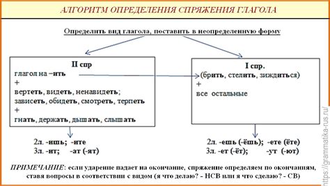 Выделение особого глагола в фразовых глаголах