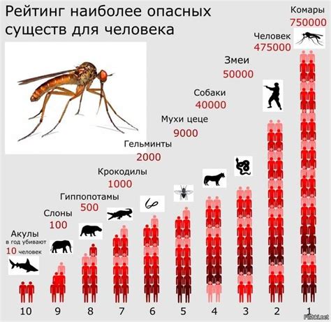 Вызовы и испытания в сновидениях о насекомых