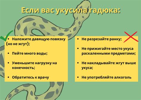 Вызов специалистов, если змею нельзя отпугнуть самостоятельно