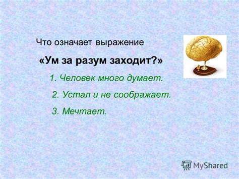 Выражение "ум за разум заходит" - что это значит?