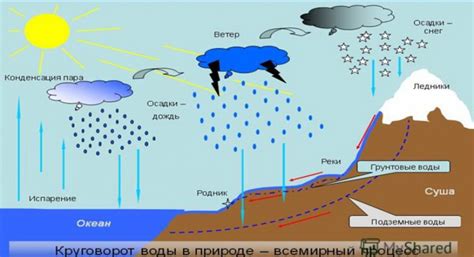 Высокая влажность воздуха и осадки