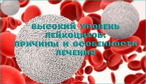 Высокий уровень гаммаглобулина в крови: причины и последствия