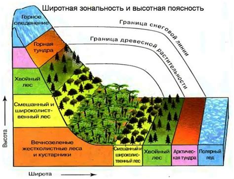 Высотная зональность: основные понятия