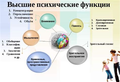 Высшие психические функции: основные характеристики и роль в развитии человека