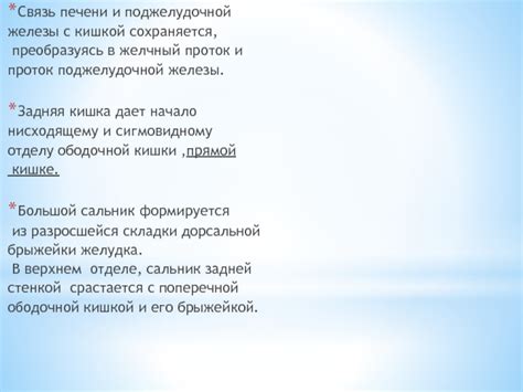 В чем связь снов с кишкой или фекалиями и деньгами?