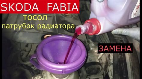 Где заливать антифриз в Шкода Фабия