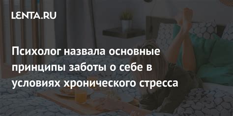 Где начинается забота о здоровье: основные принципы очищения посуды в мире сновидений