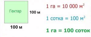 Гектары в сотках - как это рассчитать самостоятельно