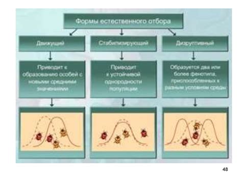 Генетическая основа естественного отбора