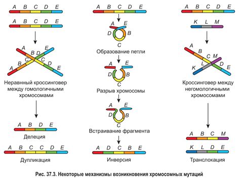 Генетическая предрасположенность и мутации