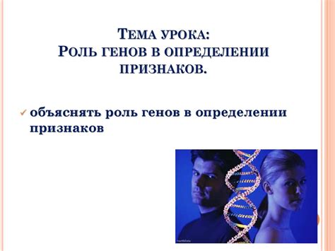 Генетические аспекты и роль генов в формировании образов седых волос во сне