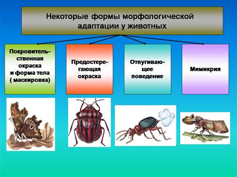 Генетические изменения и адаптация организмов