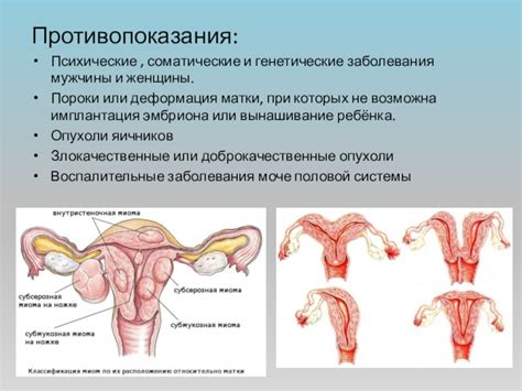 Генетические особенности женщины и мужчины