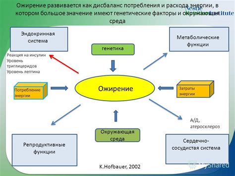 Генетические факторы и окружающая среда: